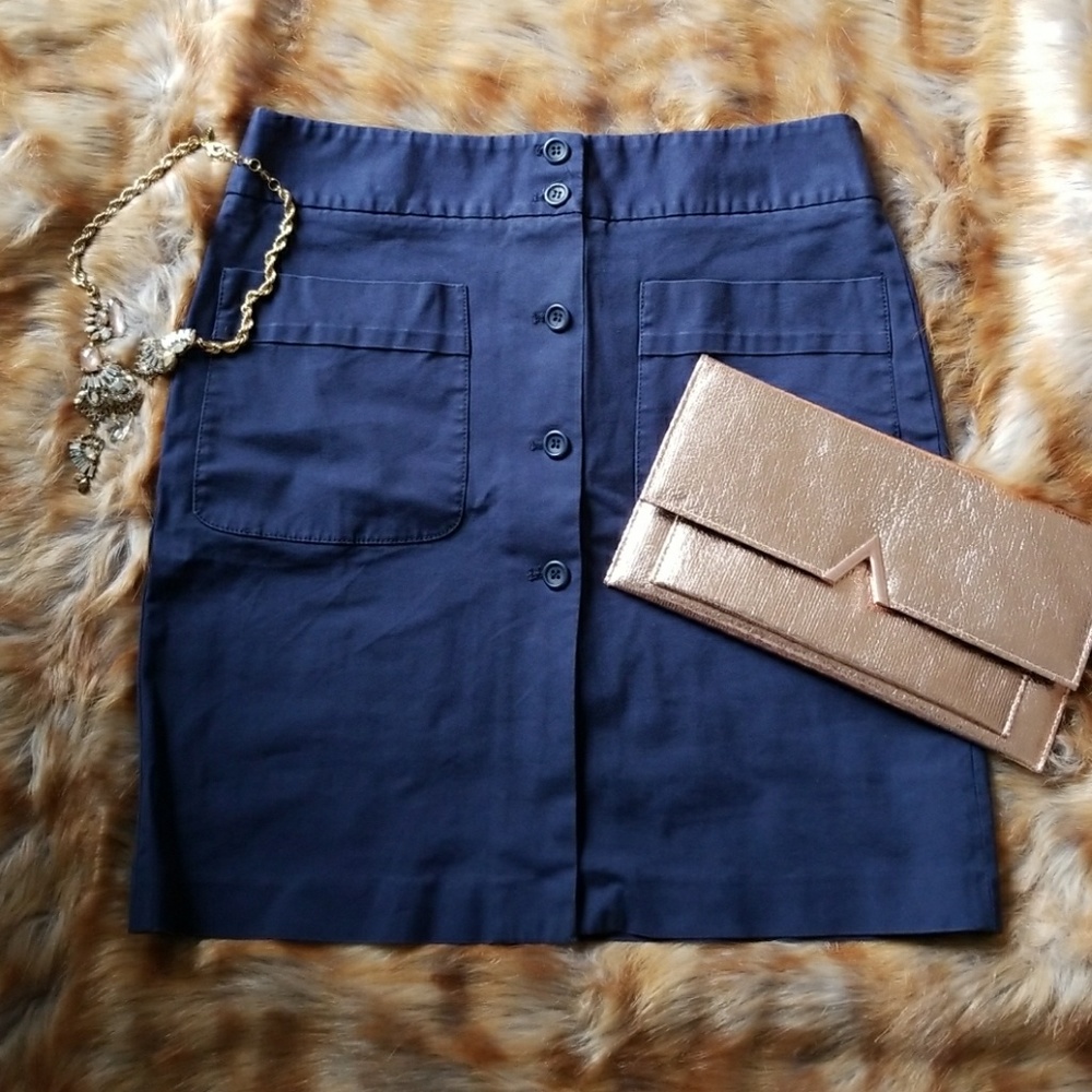 Theory blue skirt